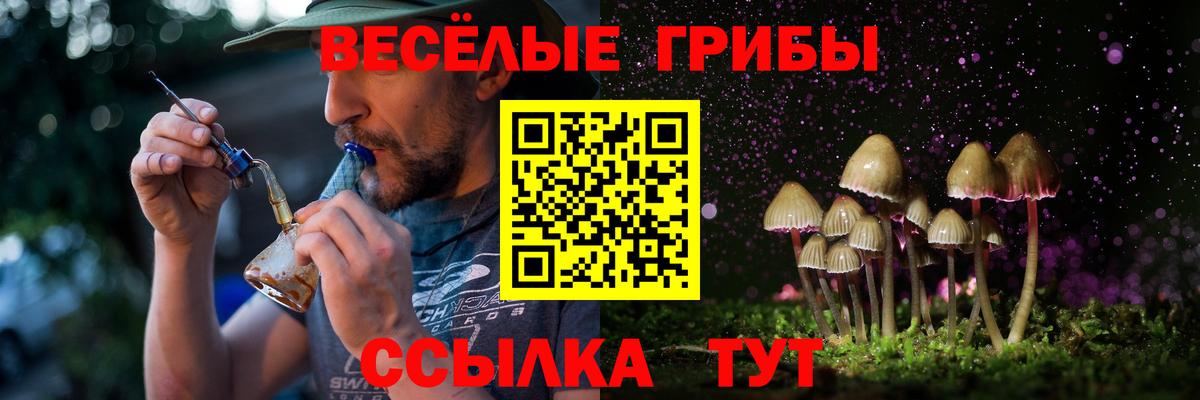 Псилоцибиновые грибы ЛСД  Псилоцибиновые грибы ЛСД  Вход с VPN  Рассказово 